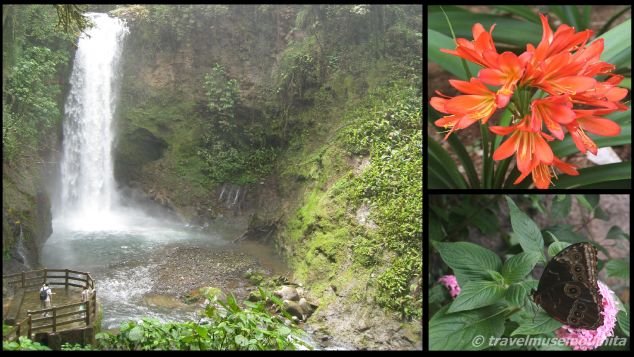 La Paz Waterfalls Gardens Waterfalls (left), La Paz Waterfalls Gardens Flowers (top-right), La Paz Waterfalls Gardens Butterfly Conservatory (bottom-right)